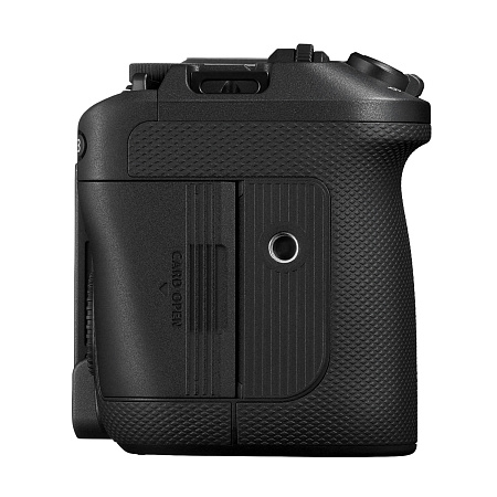 Canon EOS R6 V