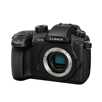 Panasonic GH5 body