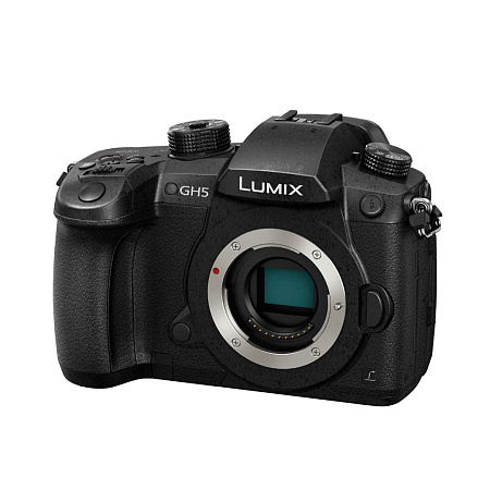 Panasonic GH5 body