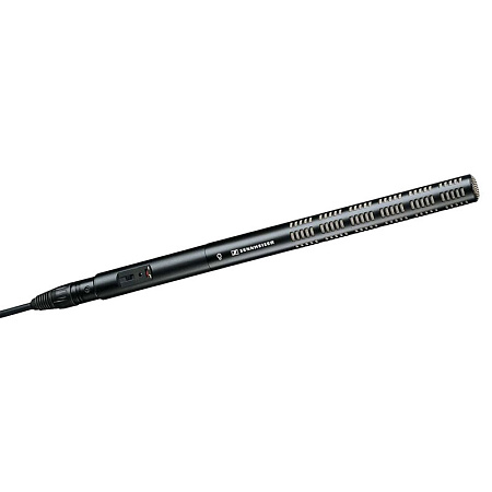 Микрофон Sennheiser ME66 с модулем K6-P