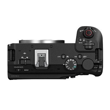 Canon EOS R6 V