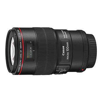 Canon EF 100 f/2.8 Macro L IS USM