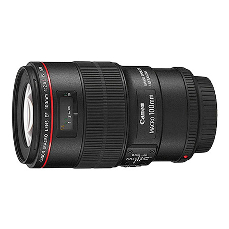 Canon EF 100 f/2.8 Macro L IS USM