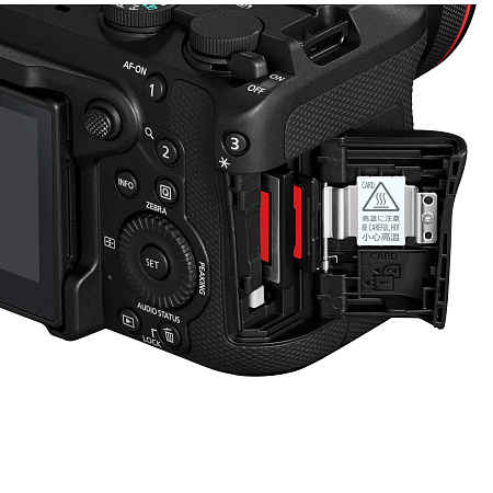 Canon EOS R6 V
