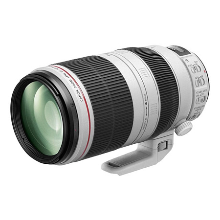 Canon EF 100-400 f/4.5-5.6 L IS USM II